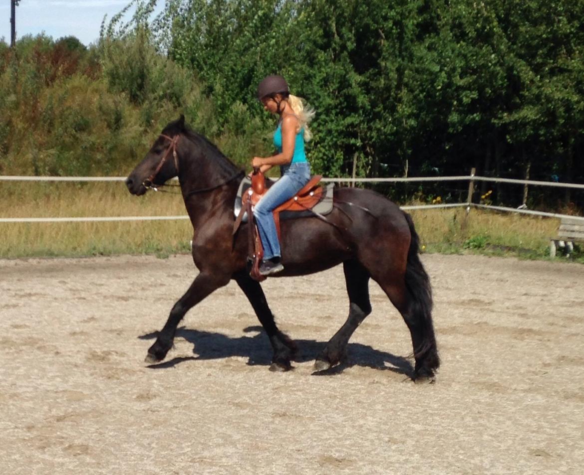 Frieser Rhiannon billede 4