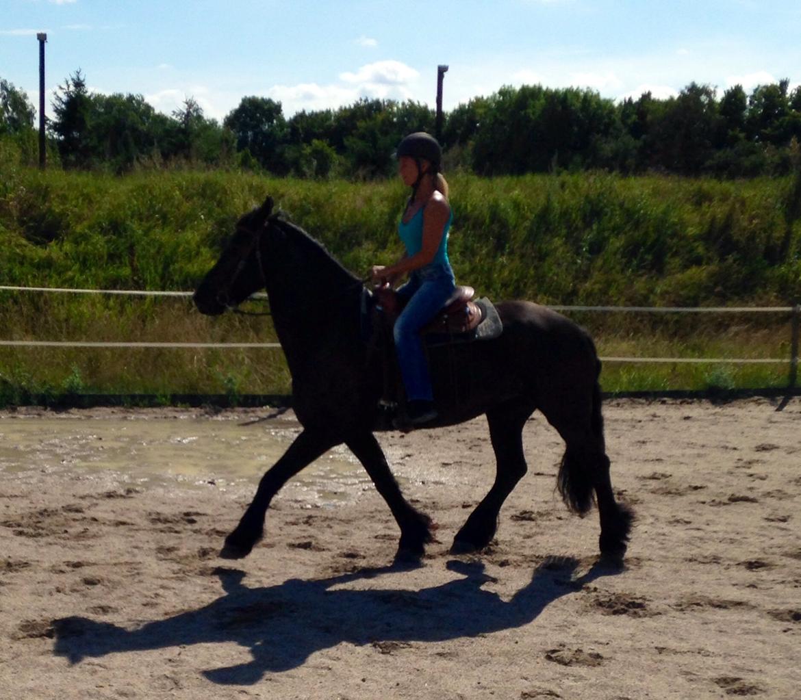 Frieser Rhiannon billede 5