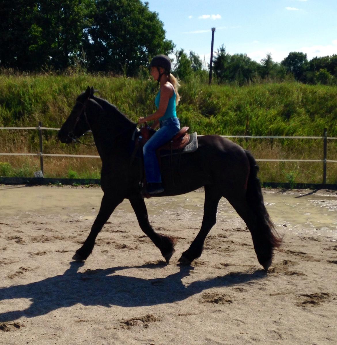 Frieser Rhiannon billede 6