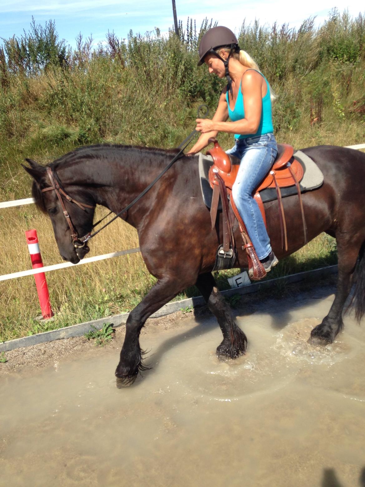 Frieser Rhiannon billede 8