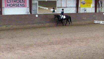 Svensk Sportspony  Anden særlig race Black Lady (Min part) billede 2