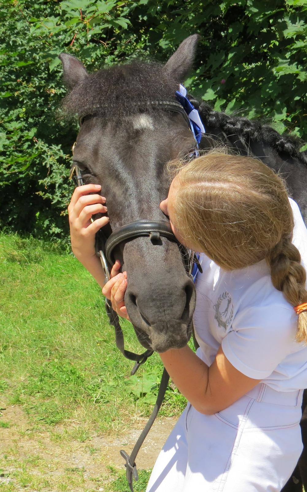 Svensk Sportspony  Anden særlig race Black Lady (Min part) billede 5