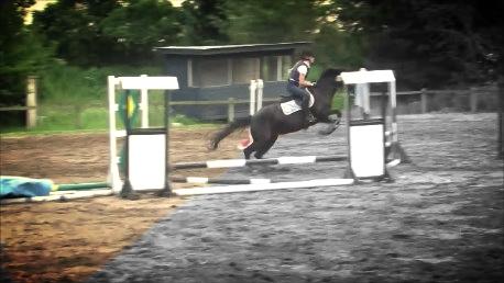 Svensk Sportspony  Anden særlig race Black Lady (Min part) billede 7