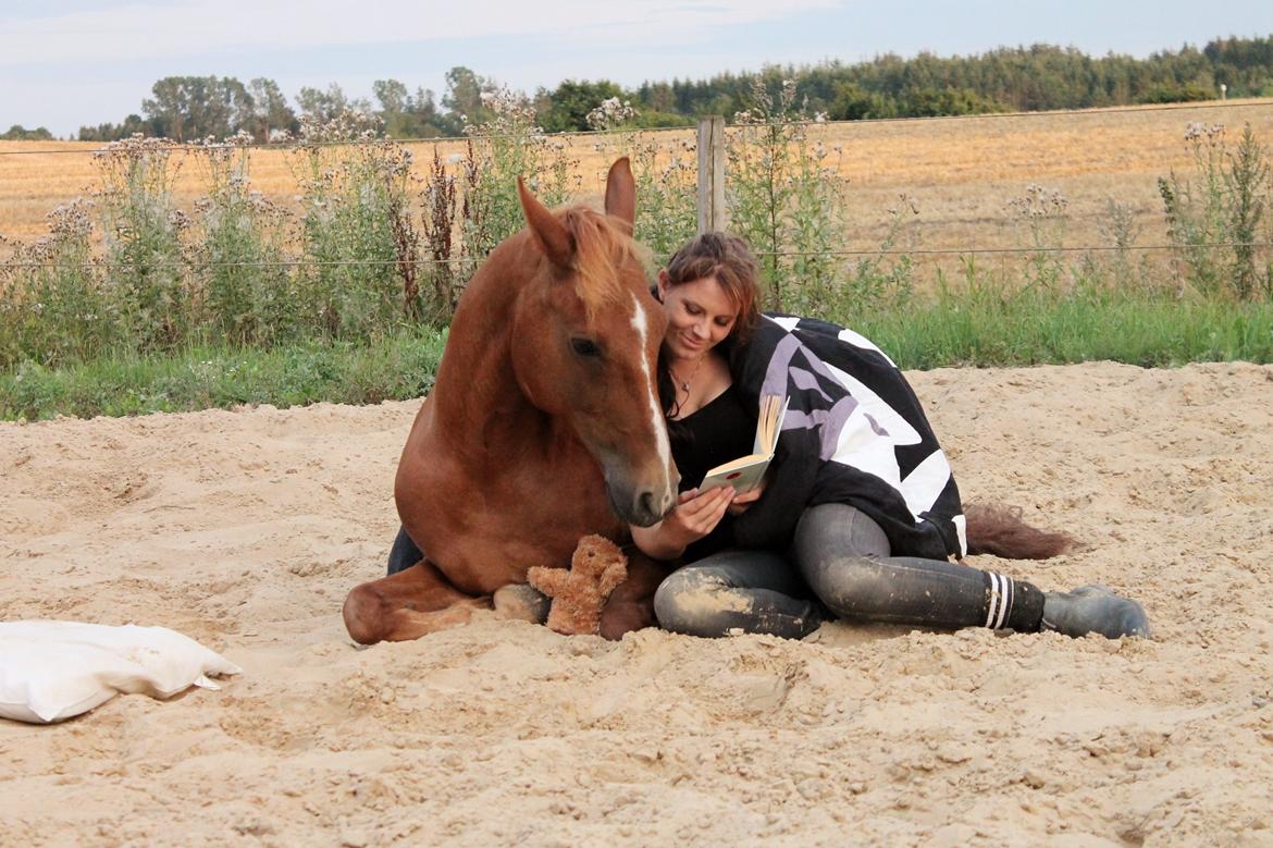 New Forest Grønvangs Surprise |Solleh| [R.I.P] - Fotodag 2014 Foto: Mette Kristensen billede 12