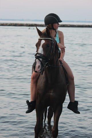 Anden særlig race Bacardi billede 11