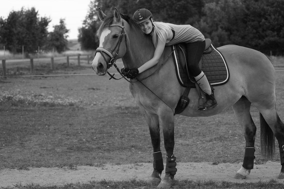 Anden særlig race My soulmate - Wariant <3 billede 2