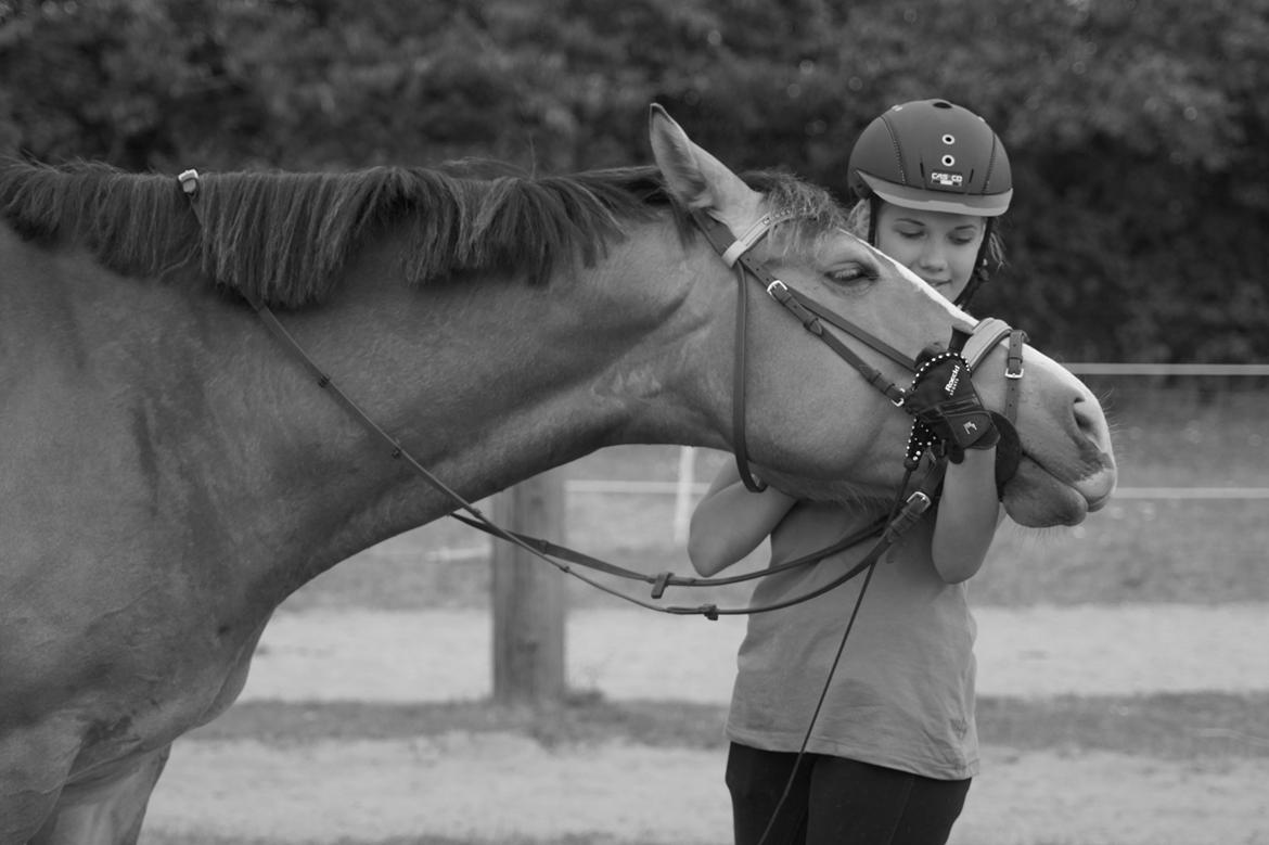 Anden særlig race My soulmate - Wariant <3 billede 10