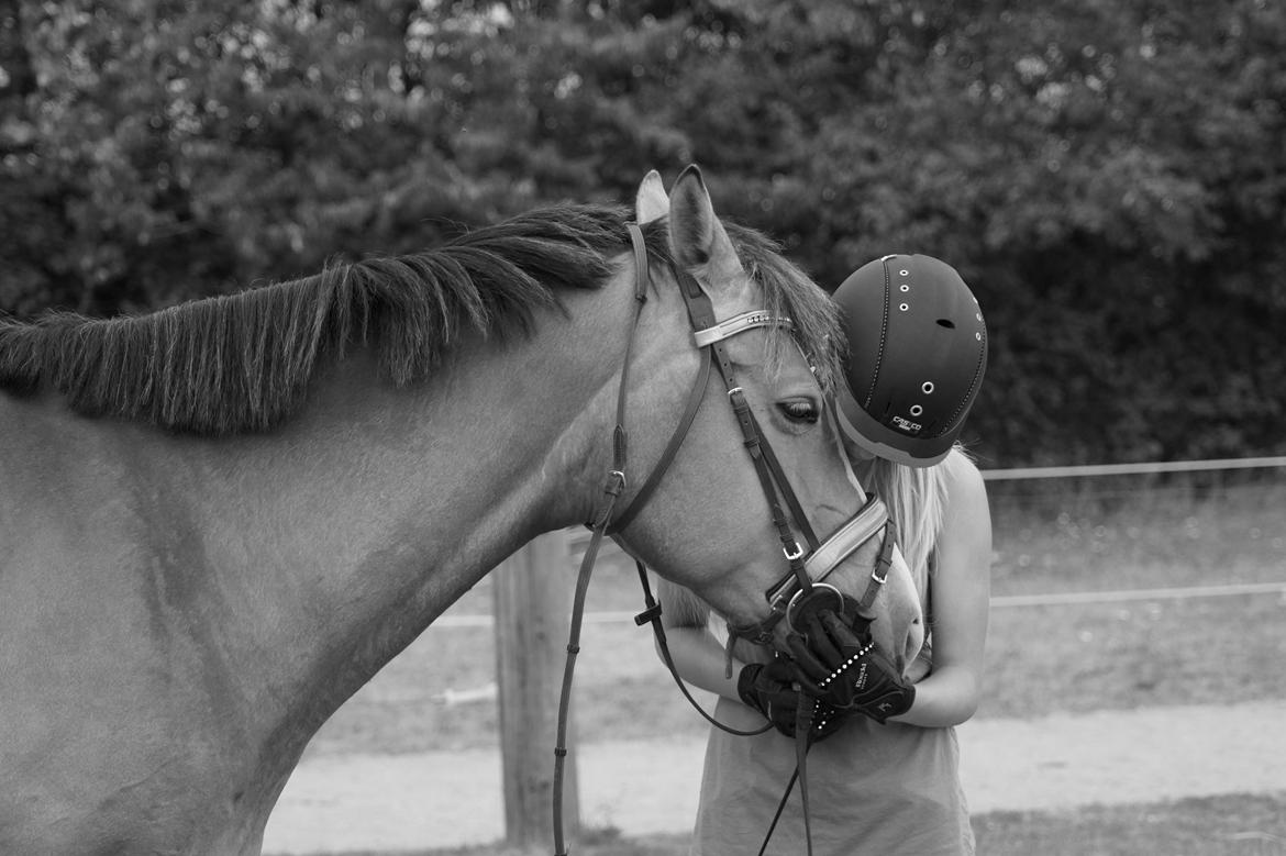 Anden særlig race My soulmate - Wariant <3 billede 7