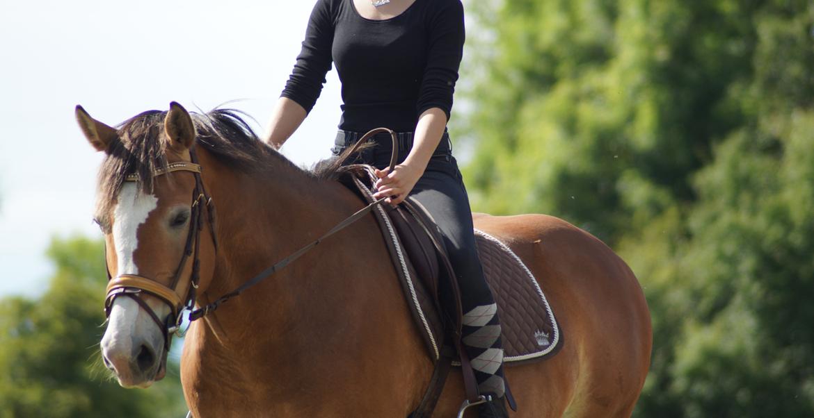 Anden særlig race My soulmate - Wariant <3 billede 5