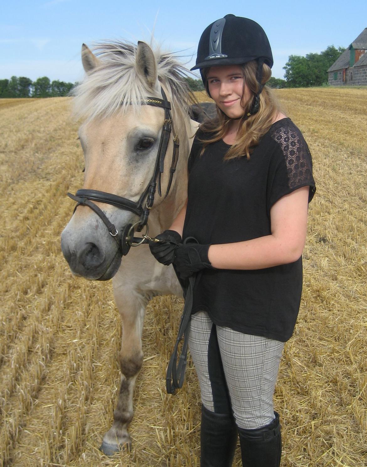 Fjordhest Luckas - US <3 billede 12