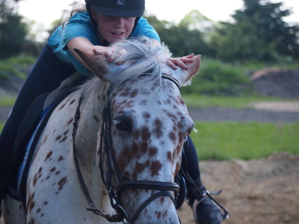 Knabstrupper Nevara Shadow aka. Punto - Ingen over, alle under. :-* billede 17