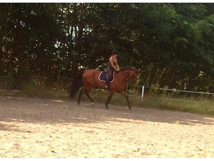 {{currentPhoto.altText}} billede {{currentPhoto.number}}