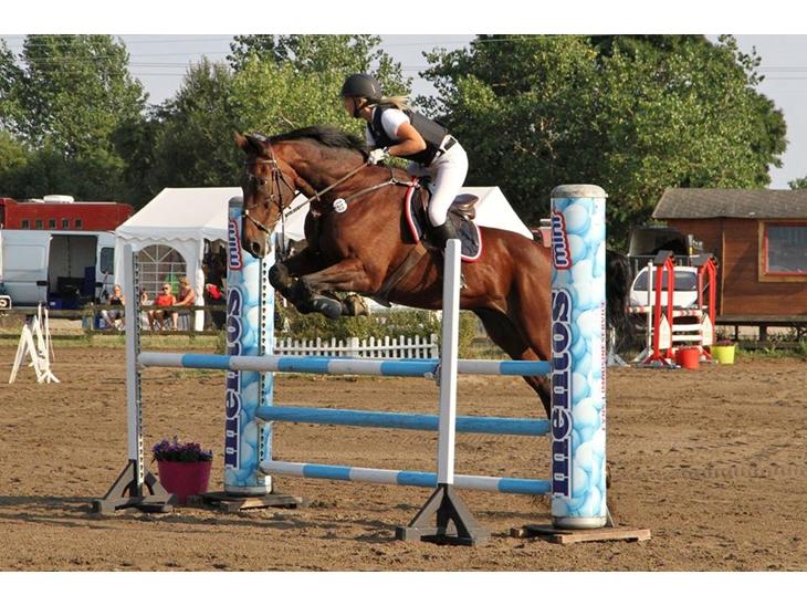 {{currentPhoto.altText}} billede {{currentPhoto.number}}