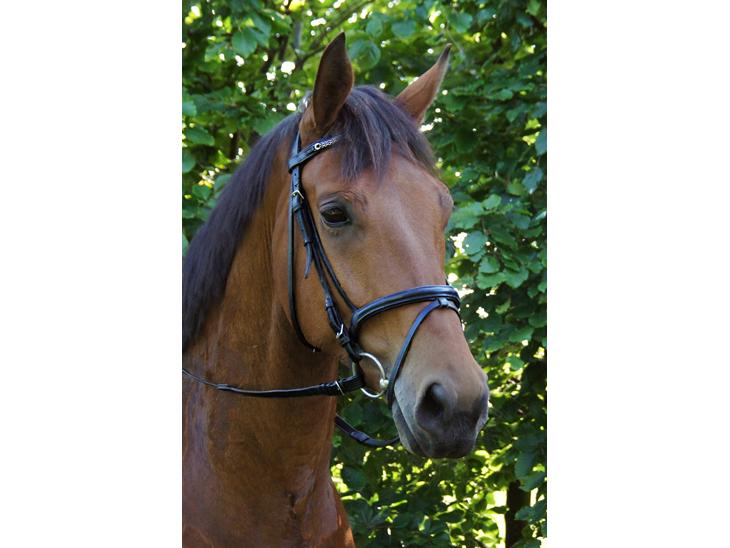 {{currentPhoto.altText}} billede {{currentPhoto.number}}