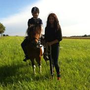 Anden særlig race Fusse