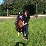 Anden særlig race Fusse