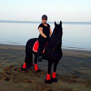 Frieser Frouke W STER