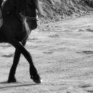 Frieser Femke Maaike