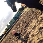 Frieser Femke Maaike