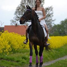 Anden særlig race Frida *Fjums*