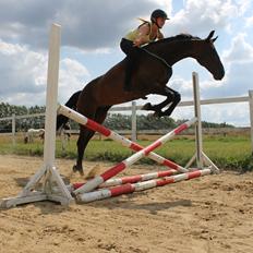 Traver Juvel Møllegaard [HIMMELHEST]