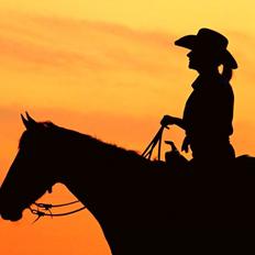 Anden særlig race | Galina Desire