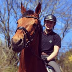 Dansk Varmblod Saksgaards Light Foot #Klubmester#