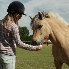Anden særlig race Charlie