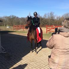 Anden særlig race Tani