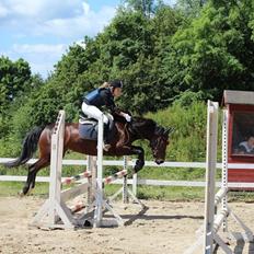 Anden særlig race Tani