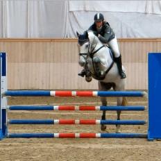 Dansk Varmblod In' Takt