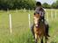 Irsk Sportspony Irish Don