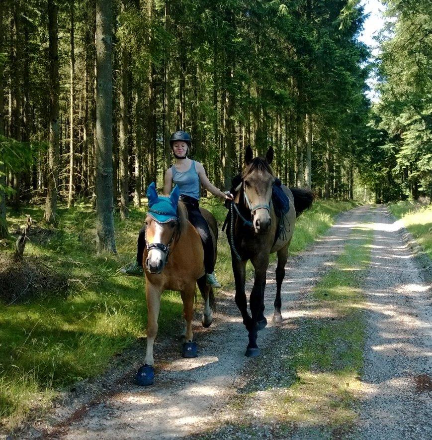 Anden særlig race Klitgaards Maximilian*R.I.P* billede 11