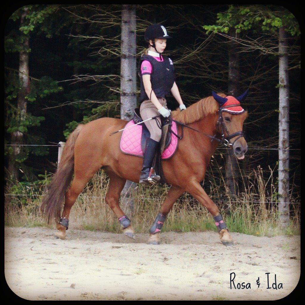 Anden særlig race Rosa - Rosa & Ida billede 43