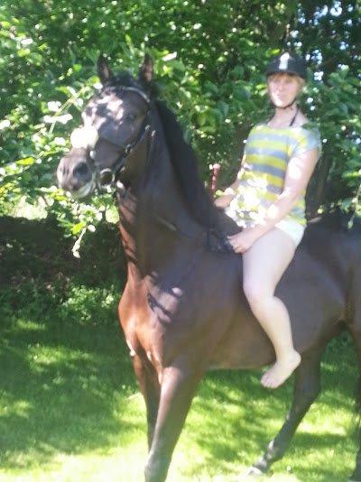 Oldenborg Masterpiece billede 14