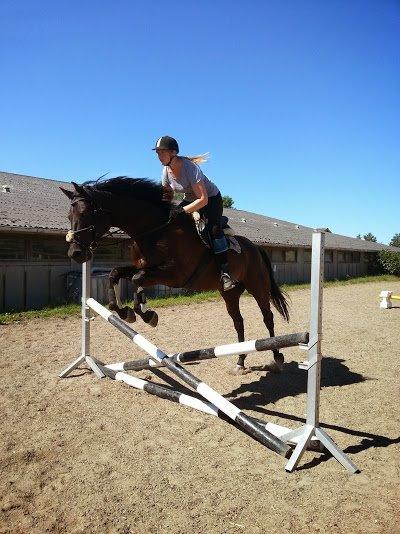 Oldenborg Masterpiece billede 16