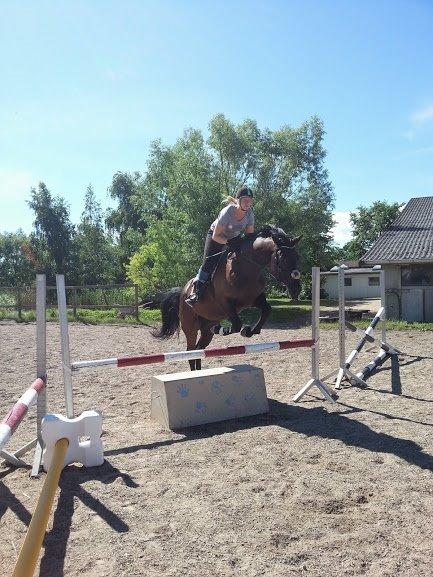 Oldenborg Masterpiece billede 9