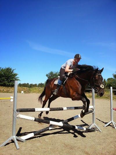 Oldenborg Masterpiece billede 6