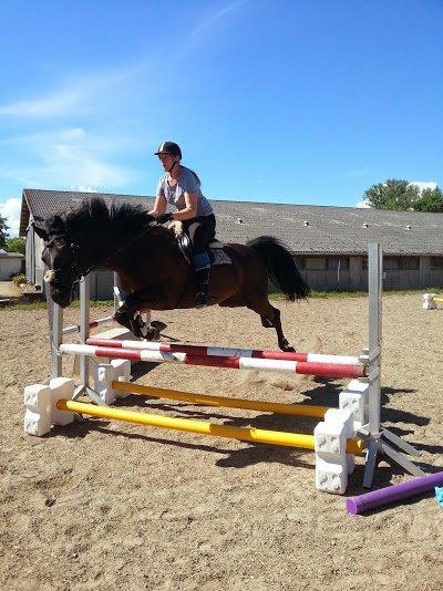 Oldenborg Masterpiece billede 4