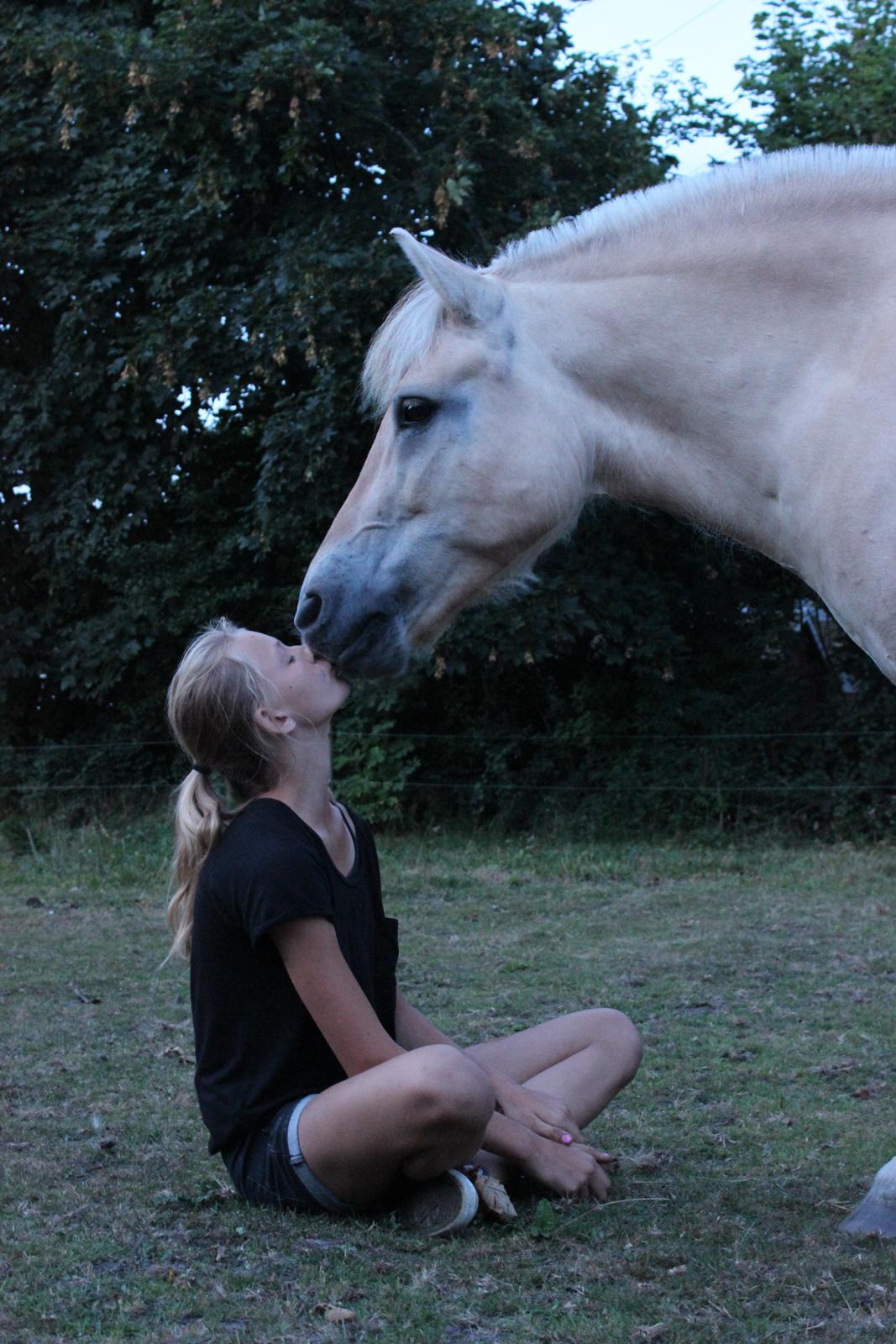 Anden særlig race Frederik - Venø 2014 billede 16