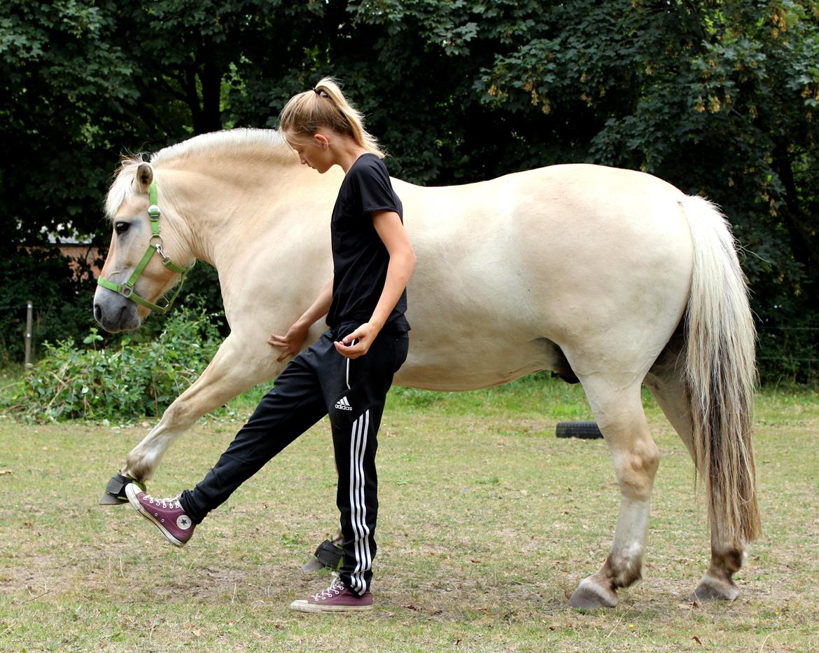 Anden særlig race Frederik - Venø 2014 billede 3