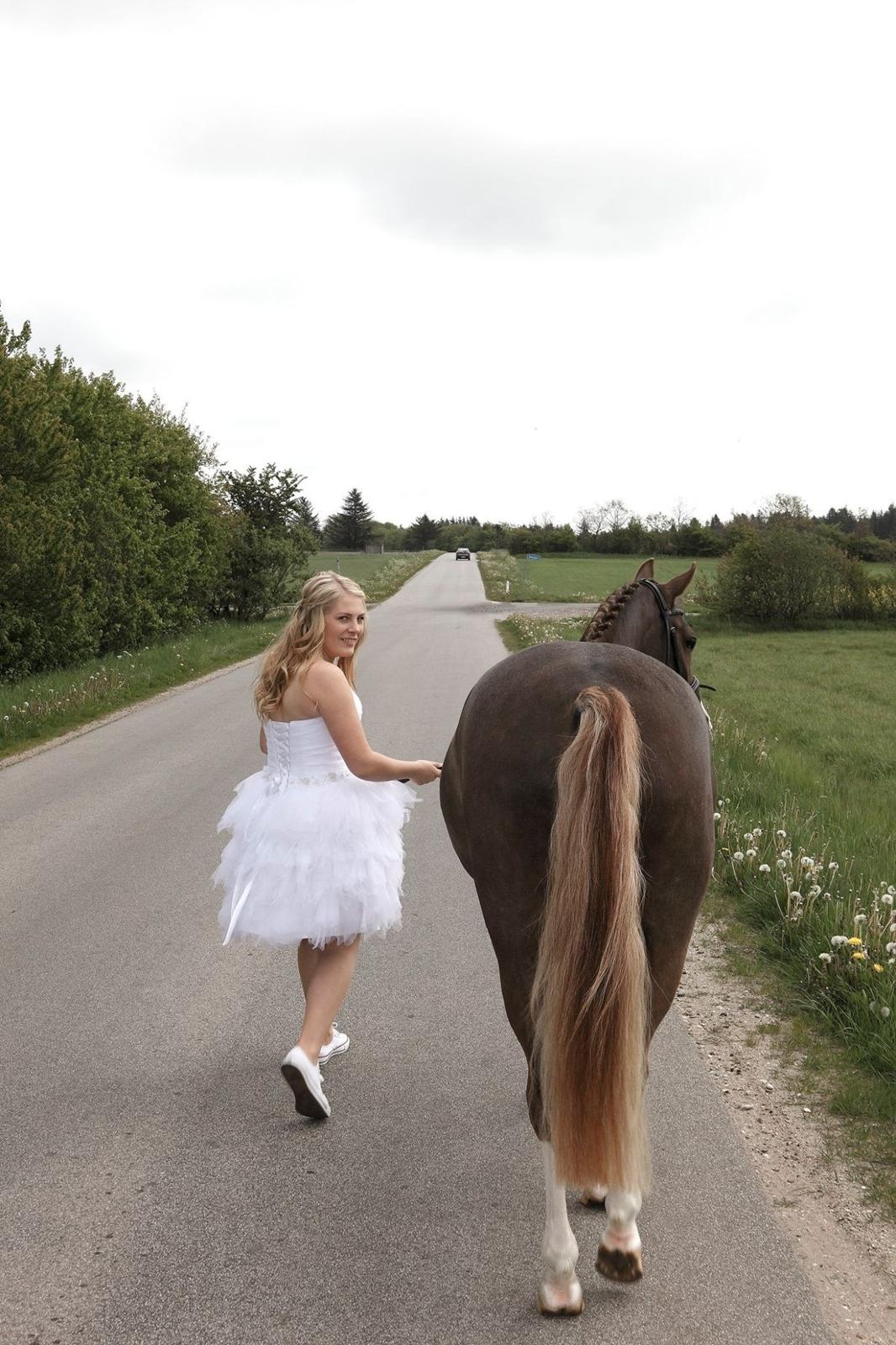 Anden særlig race Fabian billede 17