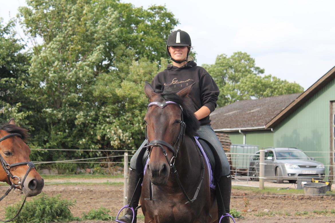 Anden særlig race Frida *Fjums* billede 3