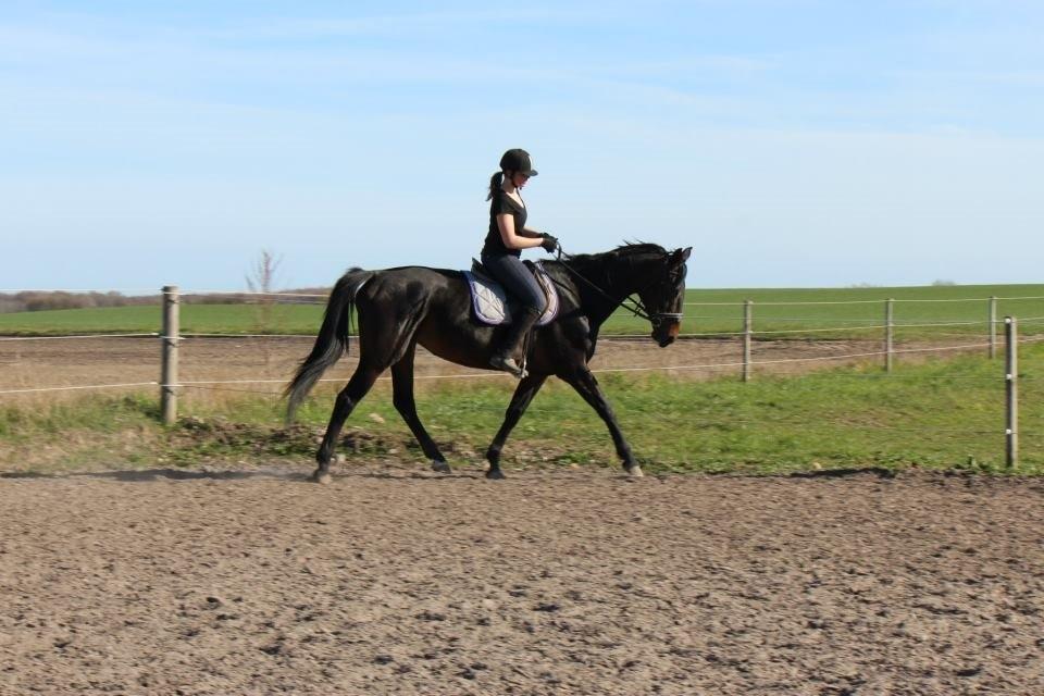 Anden særlig race Frida *Fjums* - I starten da vi var rigtig begyndt at få styr på tingene :) billede 5