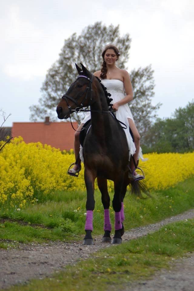 Anden særlig race Frida *Fjums* - Velkommen til :) Da Frida kom til min konfirmation :') billede 1