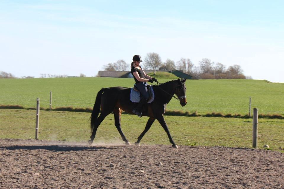 Anden særlig race Frida *Fjums* billede 9