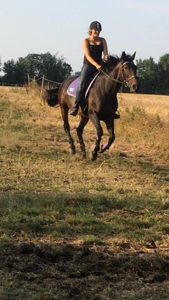 Anden særlig race Frida *Fjums* - En galop på marken<3 Undskyld grafikken.. billede 10