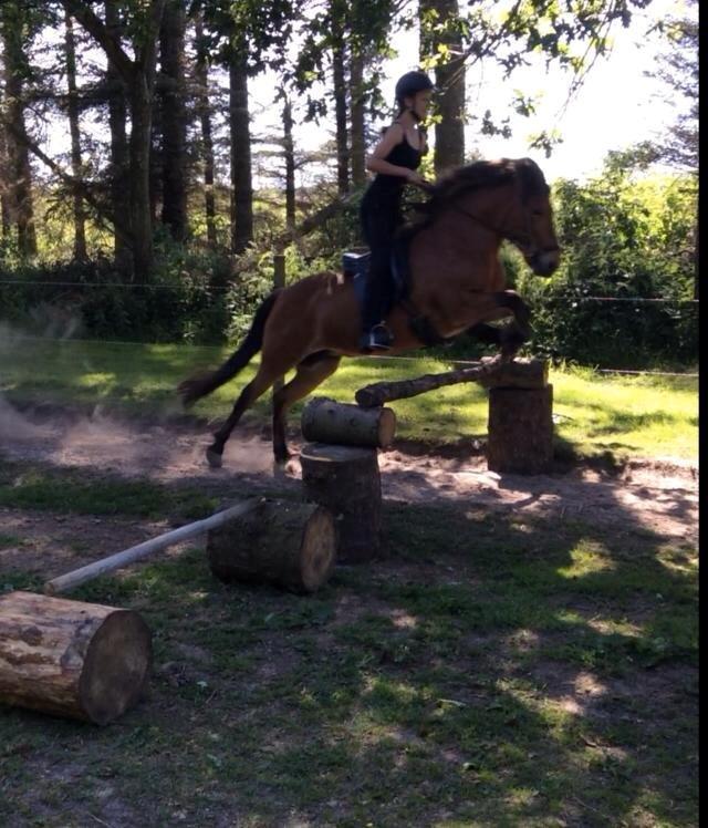 Islænder Lyfting fra Nr.Tolstrup RIP - I hendes "s" billede 9