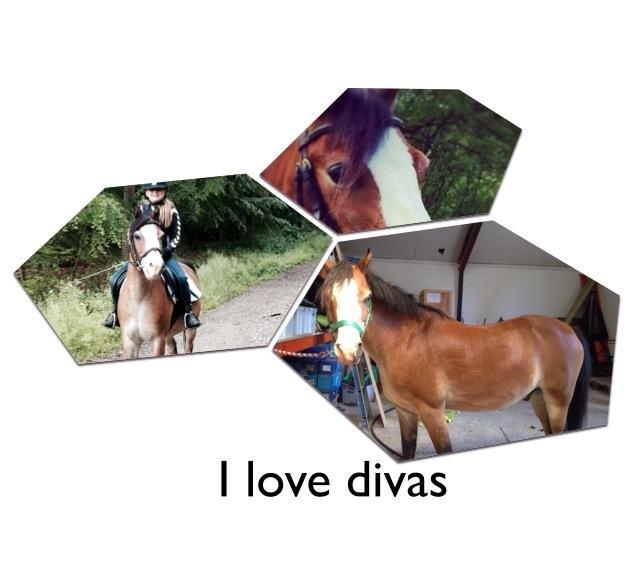 Welsh Pony (sec B) Lyngvejens Divas - Tak fordi i så med! :) billede 12
