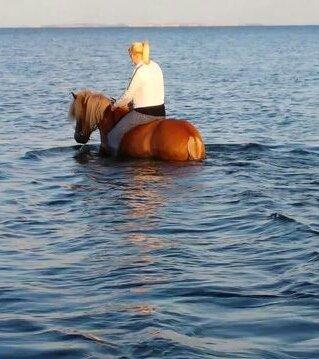 Islænder Fína fra Thorup.<3 billede 27